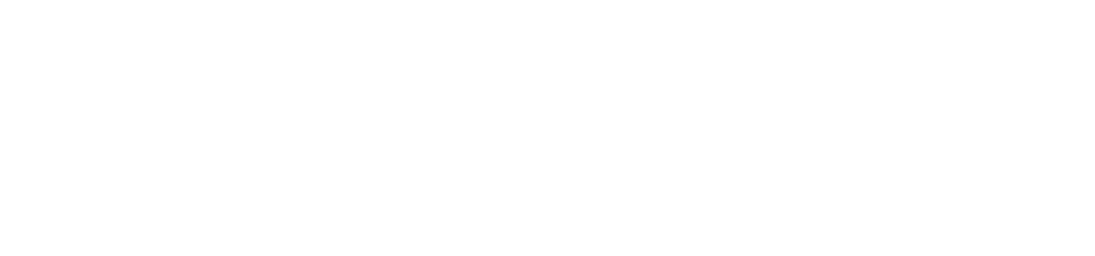 Viettronics Store